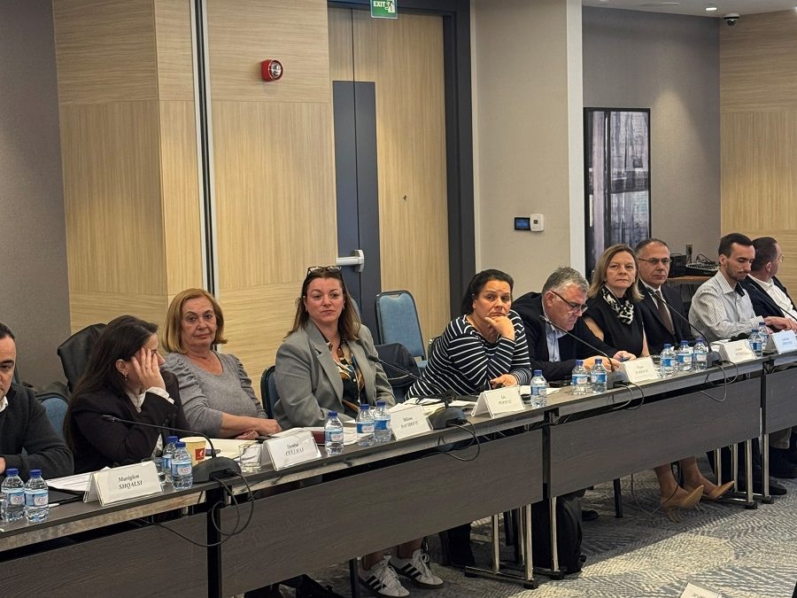 Radionica AEO u Moldaviji